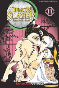 Image of Demon Slayer: Kimetsu No Yaiba 11